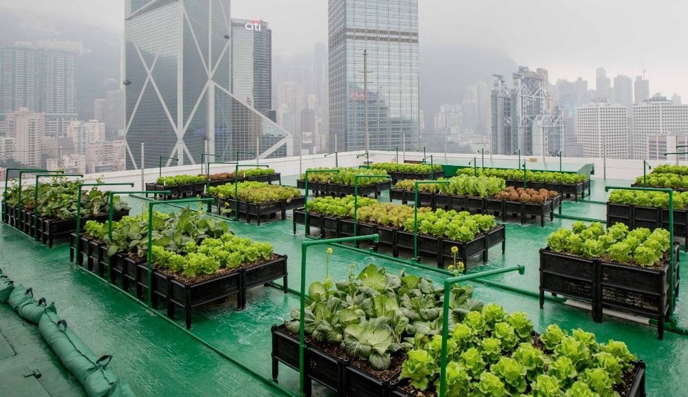Urban Farming