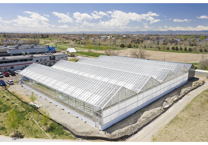 Gotham Greens Plans to Double Its Greenhouse Capacity in 2022