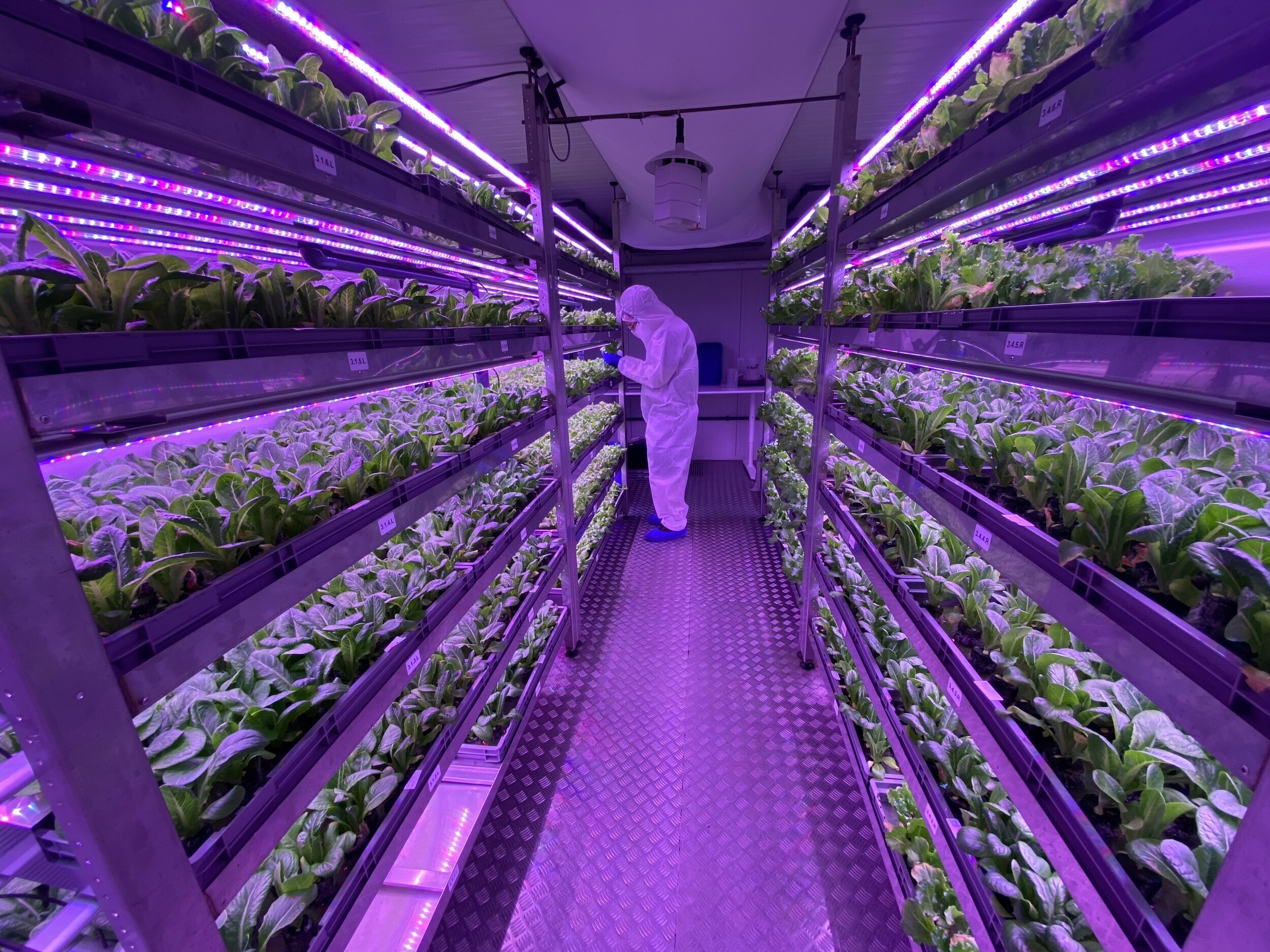 UV LED Technology for Emerging Applications in Agriculture — LED