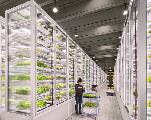 Nearly 60 Indoor Farms Featured In The 2021 FoodTech 500 Ranking ...