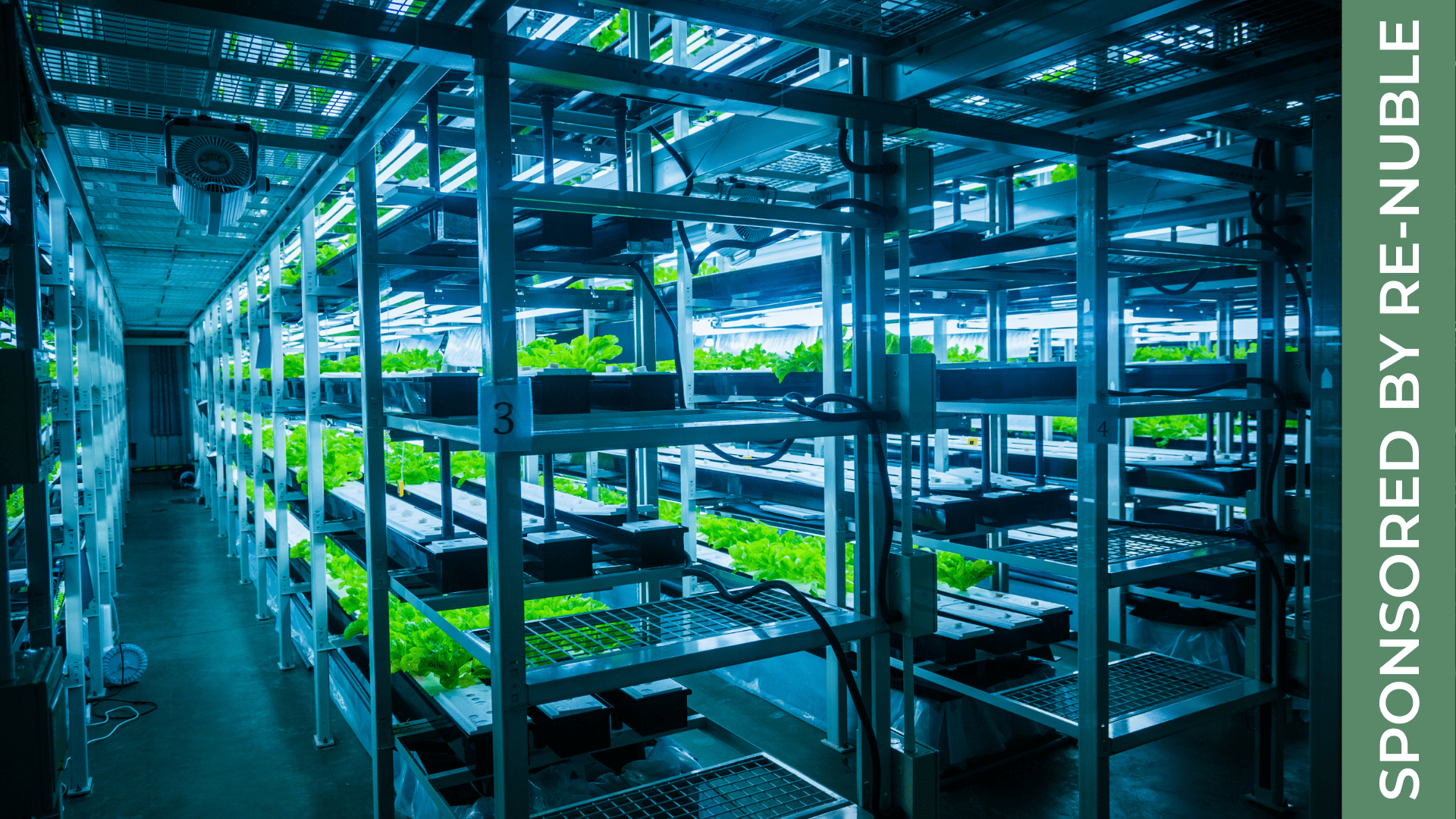 This Pilot Project Aims To Make Closed Loop Vertical Farming An